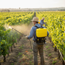 Premium 16L Knapsack Sprayer with Extendable Lance and Adjustable Pressure for Efficient Spraying - Detail View