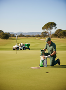 Premium Mini-Granular Fertiliser 14-0-7 with Calcium and Magnesium for Enhanced Turf Growth and Health - 20kg Bag - Main P...