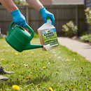 Premium Lawn Weed Killer 1L - High-Performance Herbicide Treats 500m² with Active Ingredients for Effective Weed Control -...