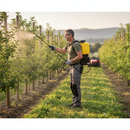 Premium Electric Knapsack Sprayer 18L with Ergonomic Design and Long Battery Life for Efficient Chemical Application - Det...