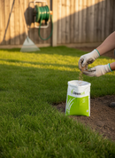 Premium Grass Seed Blend for Landscaping - Perennial Ryegrass and Creeping Red Fescue with Quick Germination and Surface S...