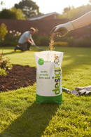 Premium Green Baize Grass Seed 80/20 Mixture - Dense Fine-Leaved Turf with High Disease Resistance - Main Product Image