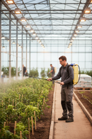 Premium 20L Knapsack Sprayer with Diaphragm Pump and Adjustable Lever for Precise Crop Protection - Detail View