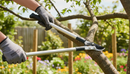 Premium Heavy Duty Bypass Lopping Shears with Aluminium Handles and Soft Touch Grips for Easy Cutting - Detail View