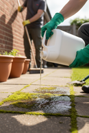 Premium Multi Surface Moss and Algae Killer 5L - Natural, Safe for Pets, Effective Long-Lasting Control - Main Product Image