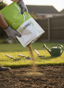 Premium Tough Grass Seed Mix 20kg - High-Performance Perennial Ryegrass and Fescue Blend for Robust Lawn Growth - Main Pro...