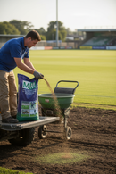 Premium Grass Seed 20kg - Fast-Establishing, Resilient for High Wear Areas with Disease Resistance - Main Product Image