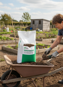 Premium Traditional Green Grass Seed for Quick Germination and High-Quality Playing Surface - Main Product Image