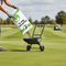 Premium NPK Fertiliser 12-12-17 (+2Mg) for Ornamental Lawns and Sports Turf - 25kg