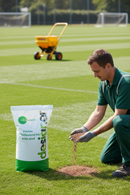 Premium Formal Grass Seed Mix for Ornamental Lawns with Fine Appearance and Reduced Mowing Needs - Main Product Image