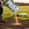 Premium High-Performance Grass Seed Mixture for Overseeding with Fast Germination and High Wear Tolerance