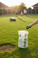 Premium Low Maintenance Grass Seed 20kg Mix for Shaded Areas and Drought Tolerance with Quick Establishment - Detail View