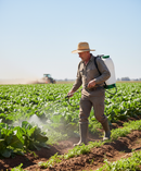 Professional Selective Herbicide 5L - Effective for Amenity Grassland and Managed Turf with Advanced Active Substances - D...