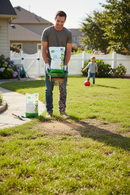 Premium Browntop Bent Grass Seed Mixture for Golf and Bowling Greens - Dense Sward with High Disease Resistance - Detail View