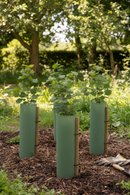 Premium Heavy Duty Tube Shelter for Shrubs - Nest of 4 with Multiple Diameter Options and Heights for Optimal Plant Protec...