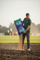 Premium 20kg Grass Seed Mixture for High-Quality Golf Greens and Drought Resistance - Main Product Image