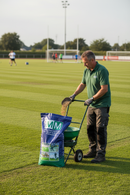 Premium Winter Sports Overseeding Grass Seed 20kg - Fast Germination, High Disease Resistance, Excellent Wear Tolerance - ...