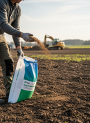 Premium Land Reclamation Ryegrass Seed Mix 20kg - Fast Establishment, Low Maintenance, and Environmental Stress Tolerance ...