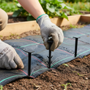 Premium BIO Degradable Square Pegs - 155mm Long, Eco-Friendly and Sustainable Solution for Gardening - Main Product Image