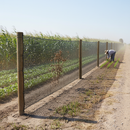 Premium Heavy Duty Windbreak Netting with 50% Wind Reduction for Gardens and Agriculture - Detail View
