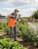 Premium 16L Knapsack Pressure Sprayer with Adjustable Regulator, Ergonomic Handle, and Multiple Nozzle Options - Detail View