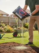 Premium High-Performance Rye Grass Seed Mix - 20kg for Rapid Establishment and High Wear Tolerance - Detail View