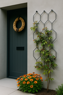 Modern black trellis with vines beside a dark green door, accented by orange flowers and a rope wreath.