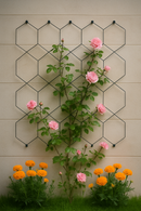 Hexagonal metal trellis on a beige wall with blooming pink roses and vibrant orange marigolds below.