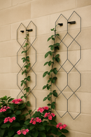 Two vertical black metal trellises mounted on a beige wall with climbing vines and blooming pink flowers at the base.