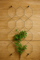 Black hexagonal metal trellis with climbing green plant on a textured tan wall.