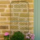 Green metal garden trellis mounted on a beige stone wall with pink flowers growing at the base and a soft green door to the right