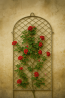 Elegant arched metal garden trellis mounted on a rustic beige wall, featuring red climbing roses and lush green foliage.
