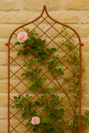 Gothic trellis with pink roses on a stone wall