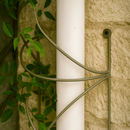 Elegant spiral drainpipe trellis with green climbing leaves.