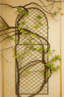 Arched trellis on a beige wall with a vine winding through it.