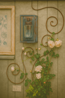 VerdiCraft Scroll Wall Trellis – Elegant Metal Garden Accent