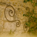 Rustic scroll trellis on weathered stone wall with climbing plant.
