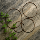 Verdanta Oval Wall Trellis – Elegant Metal Garden Support