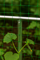 Green garden netting secured to aluminum frame using vertical and horizontal support rods, with young plant growing nearby.