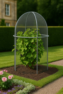 Verdura Domed Fruit Cage – Steel Frame, Elegant Garden Cover