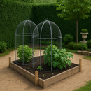 Verdura Domed Fruit Cage – Steel Frame, Elegant Garden Cover
