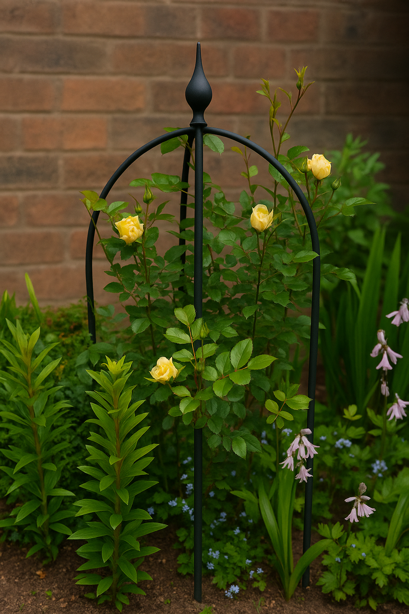 Holloway Rose Garden Obelisk – Elegant Support for Climbers
