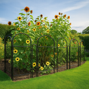 Verdivine Monet Garden Screen – Elegant Curved Top Design