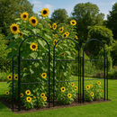 Verdivine Monet Garden Screen – Elegant Curved Top Design