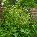 VerdeVista Fencing Screen – Monet Design, Steel Garden Panel