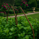 VerdantEdge Border Hoops – 6pk Steel Edging, Rust-Resistant