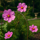 VerdantEdge Border Hoops – 6pk Steel Edging, Rust-Resistant