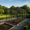 VerdantEdge Superior Fruit Cage – Black Steel, Walk-In, 2m+