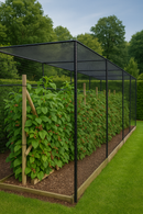 VerdantEdge Superior Fruit Cage – Black Steel, Walk-In, 2m+