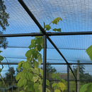 VerdantEdge Superior Fruit Cage – Black Steel, Walk-In, 2m+